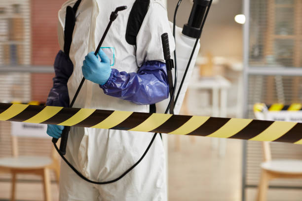 Professional Sewage Cleanup technician working in New Richmond, WI